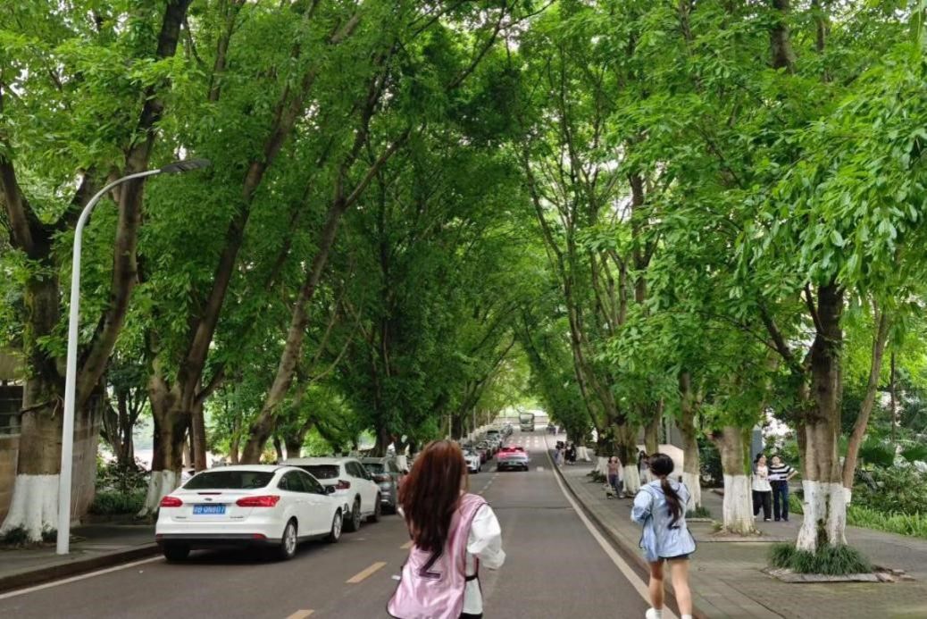 5月16日太阳成集团tyc122cc开展第十三届“筑梦启航”体育文化节定向越野竞赛圆满收官 原图2.jpg