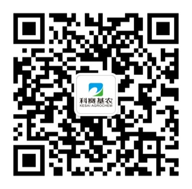 1740530574423256.png 科赛官方微信.png