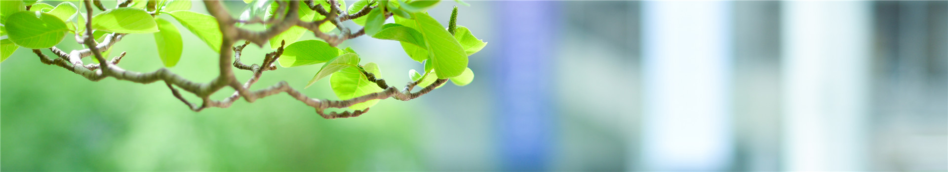 太阳成集团tyc122cc